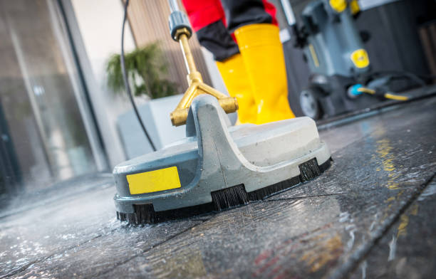 Best Roof Pressure Washing  in Norman Park, GA