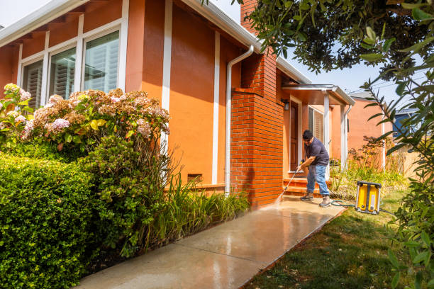 Best Pressure Washing Near Me  in Norman Park, GA